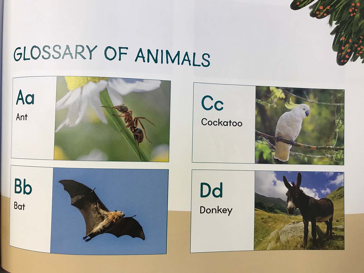Glossary of Animals